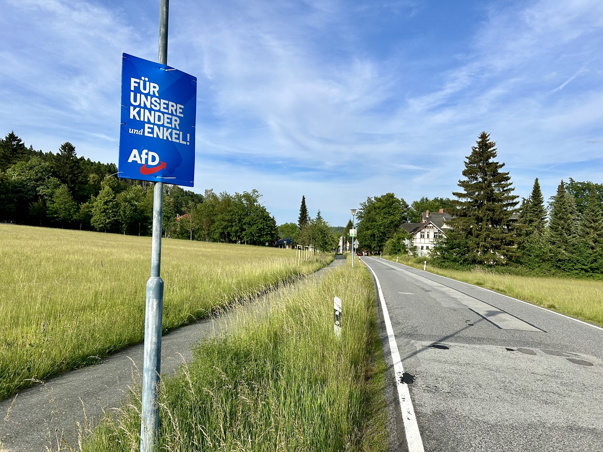 AfD's Second Place: Immigration Debate and German Voter Shift